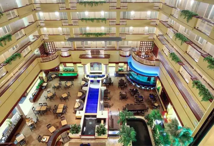 酒店 Embassy Suites By Hilton Laredo