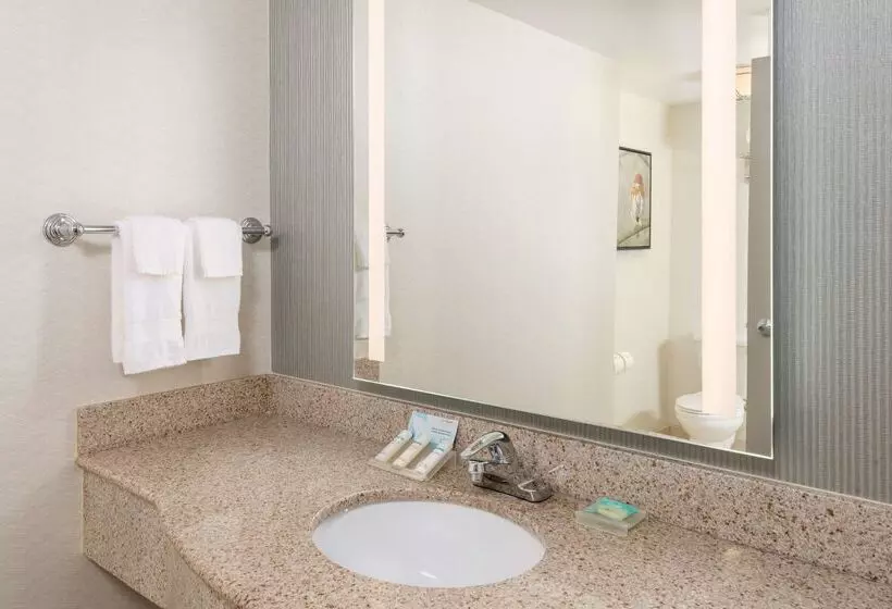 هتل Hilton Garden Inn Scottsdale North/perimeter Center