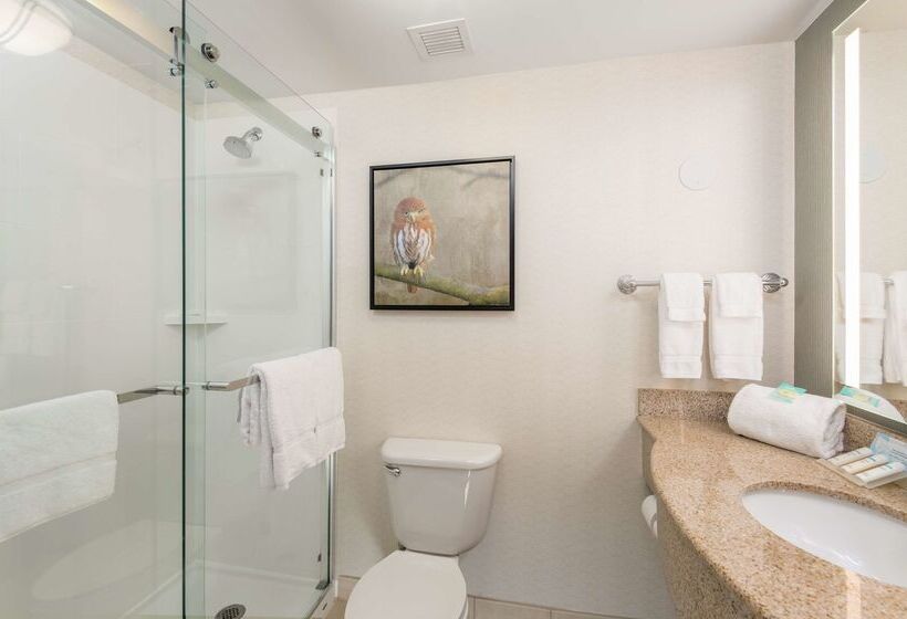 ホテル Hilton Garden Inn Scottsdale North/perimeter Center