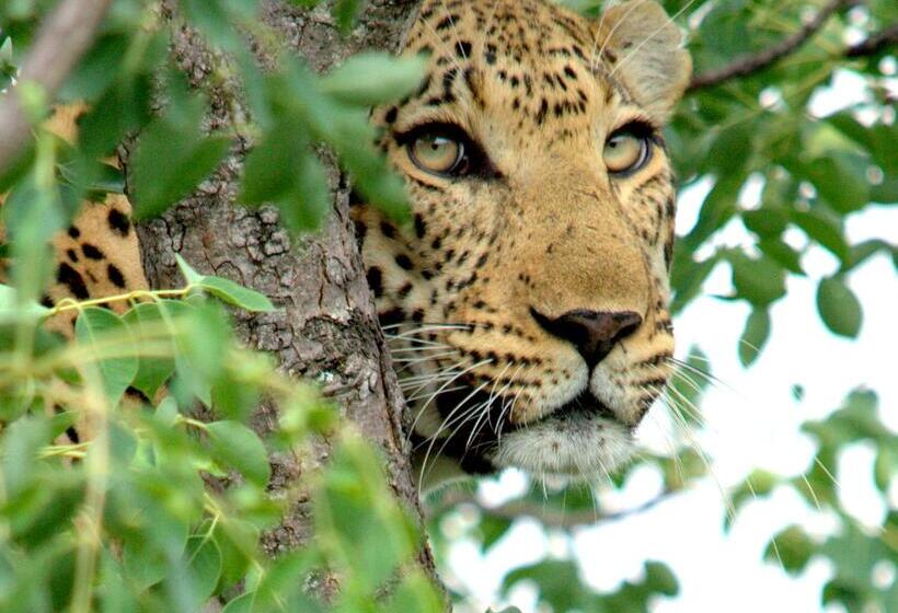 فندق Kuname River Lodge