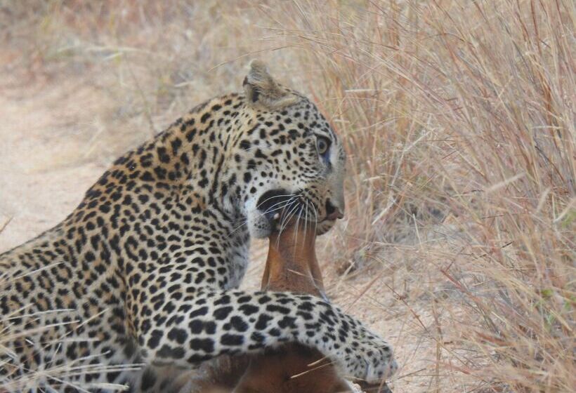 فندق Kuname River Lodge