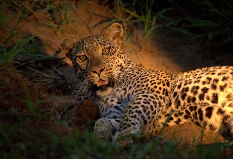 فندق Kuname River Lodge