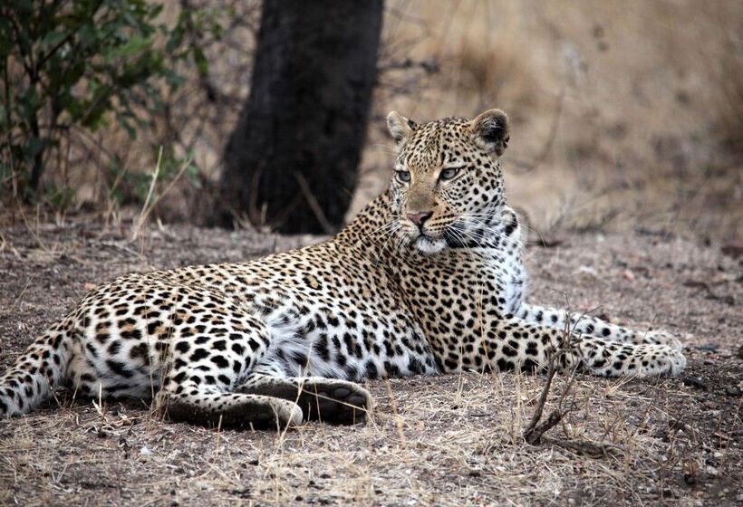 فندق Kuname River Lodge