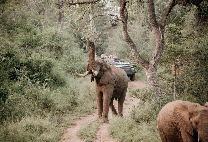 فندق Kuname River Lodge