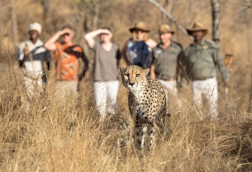 فندق Kuname River Lodge