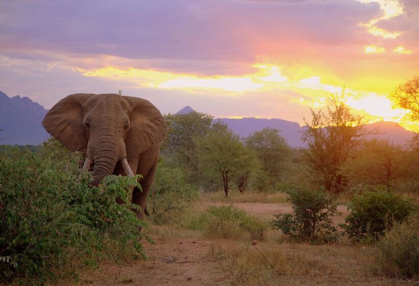 فندق Kuname River Lodge