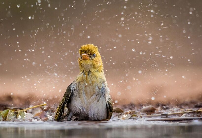 فندق Kuname River Lodge