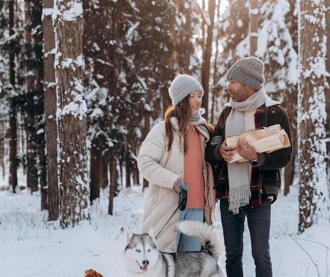 Odalys Hotel New Solarium