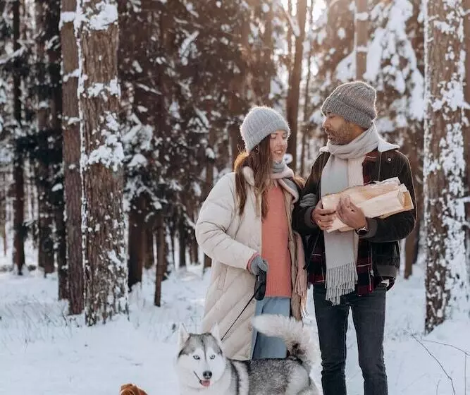 Odalys Hotel New Solarium