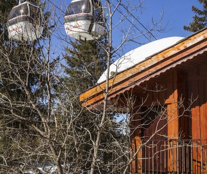 Odalys Hotel New Solarium
