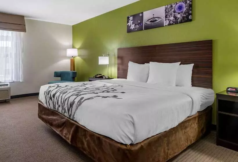 هتل Sleep Inn & Suites