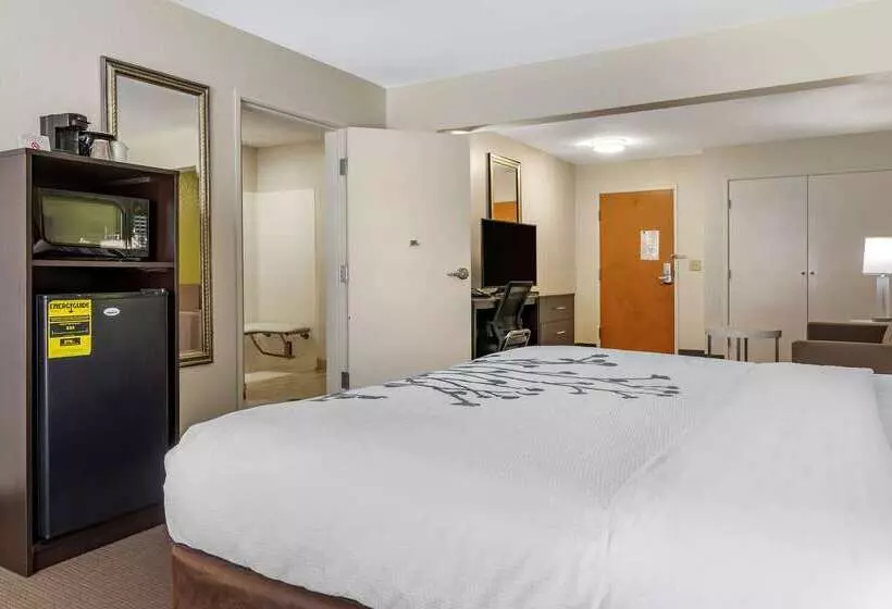هتل Sleep Inn & Suites