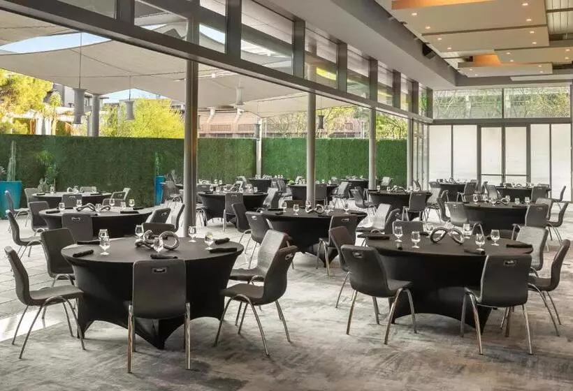 בית מלון כפרי W Scottsdale