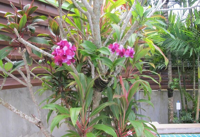 אתר נופש Apasari Krabi   Sha Extra Plus