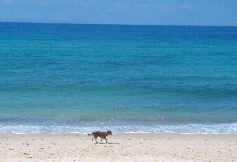 Zahara Sol Villas Y Apartamentos By Qhotels