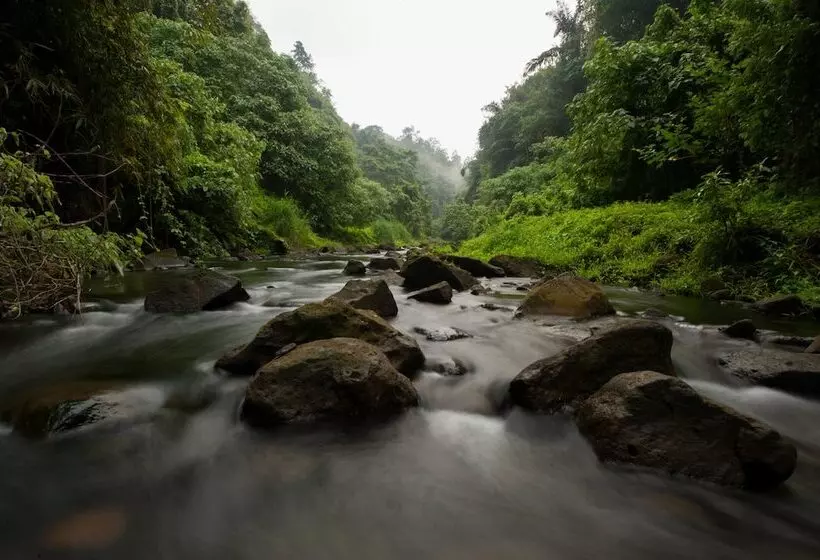 Beji Ubud Resort