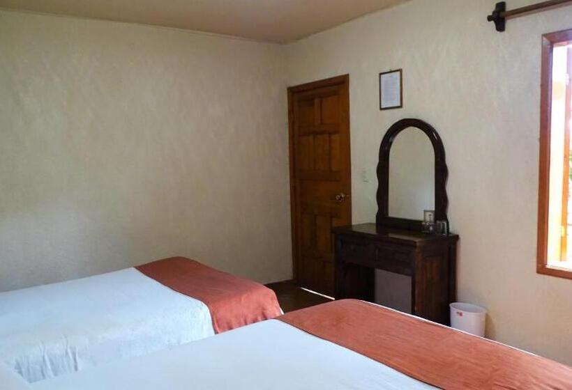 فندق Barrio Antiguo