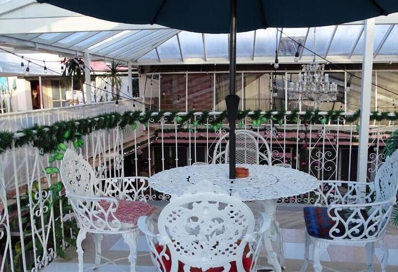 فندق Barrio Antiguo