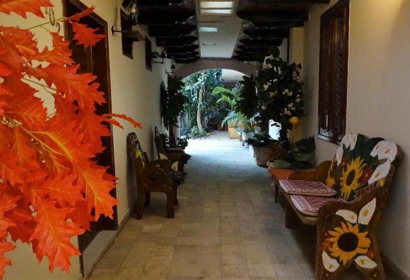 فندق Barrio Antiguo