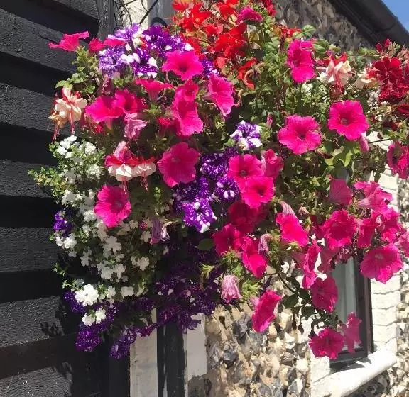 בית מלון כפרי Coach House