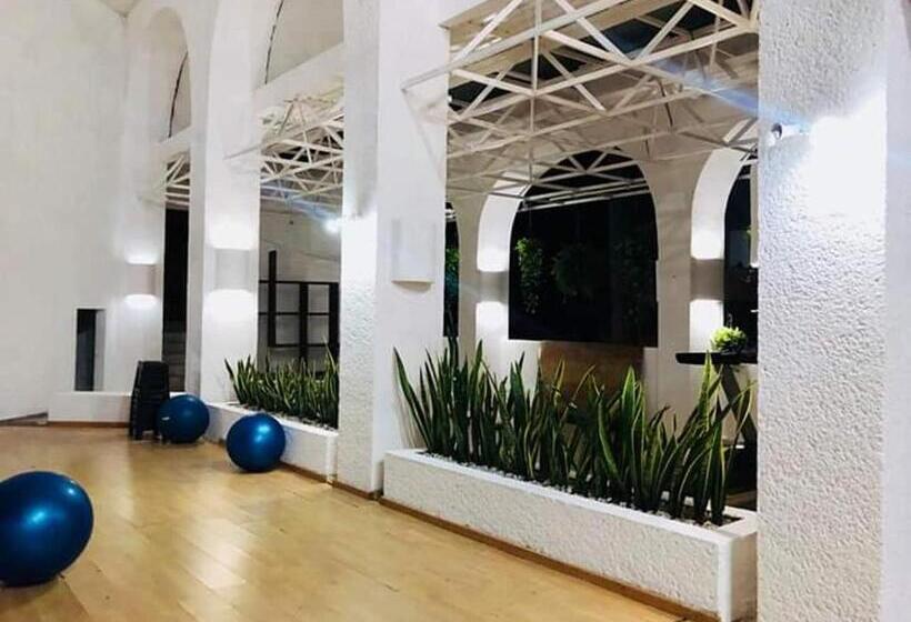 هتل Ixtapa Palace