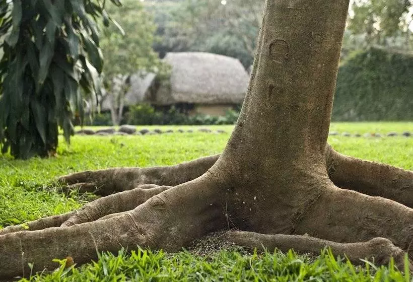 Hotel Picocanoa Rodavento