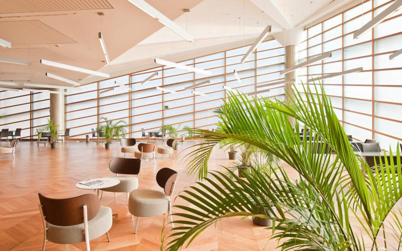 Отель Reina Petronila