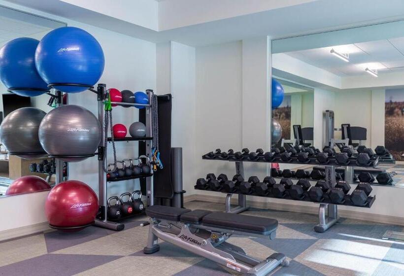 Hotel Element Dallas Richardson