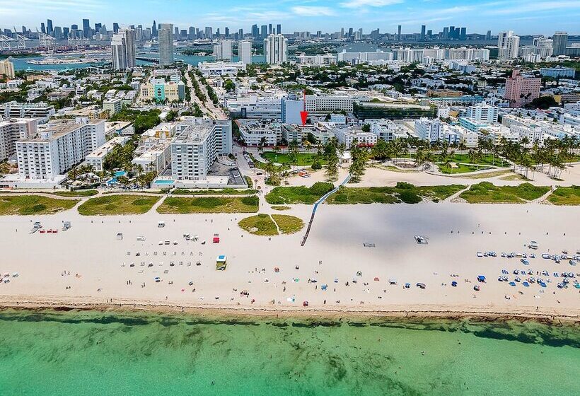 Private Condos At 556 Ocean By Lmc