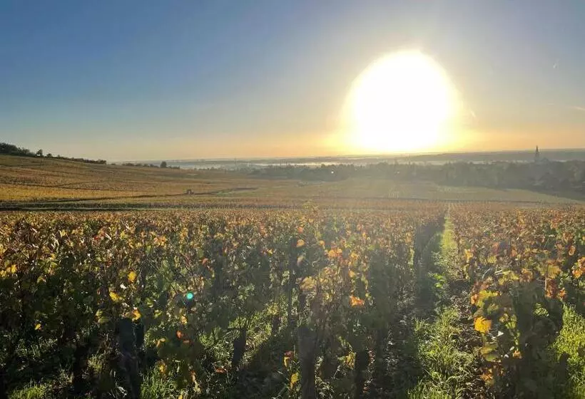 تختخواب و صبحانه Le Clos De Miribel