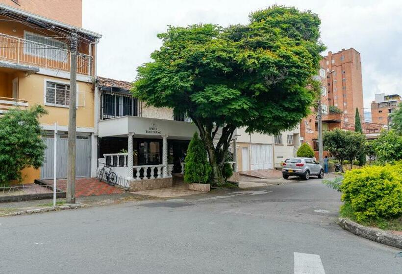 호텔 Tree House Medellin