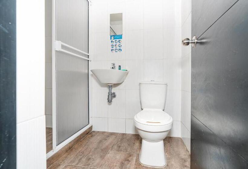 호텔 Tree House Medellin