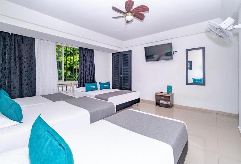 호텔 Tree House Medellin