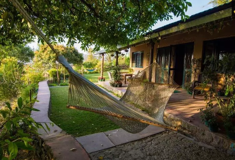 ホテル Livingstone Hideaway Homes