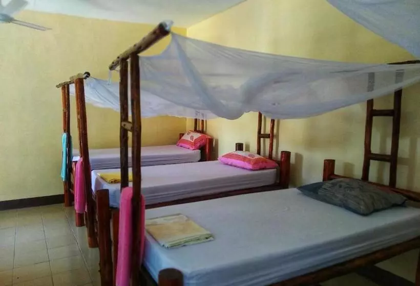 ベッドアンドブレックファースト Mikoko Beach & Cottages