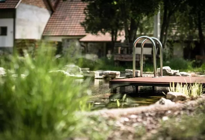 Aamiaismajoitus (B&B) Pajta Apartman és Vendégház