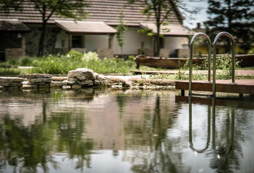 Bed and Breakfast Pajta Apartman és Vendégház