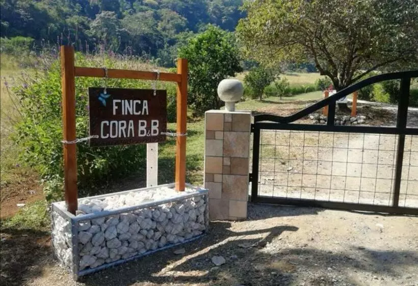 Casa Cora Bed And Breakfast