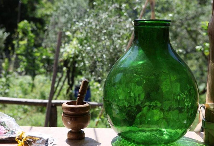 בית מלון כפרי Agriturismo Da Regina