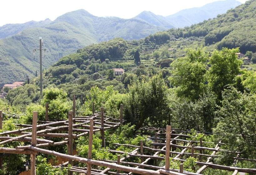 בית מלון כפרי Agriturismo Da Regina