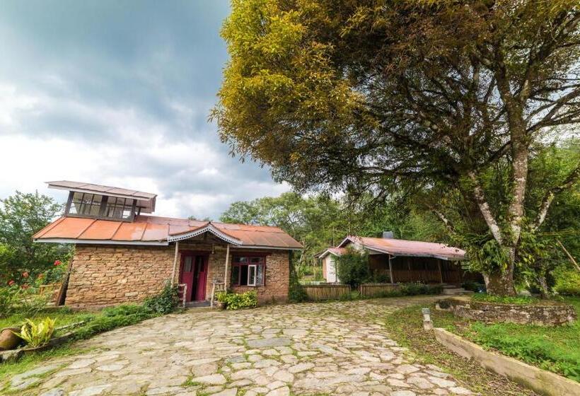 בית מלון כפרי Yangsum Heritage Farm