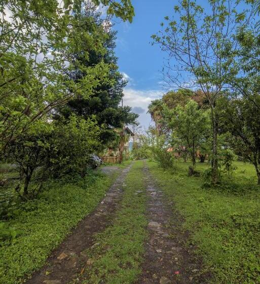 בית מלון כפרי Yangsum Heritage Farm