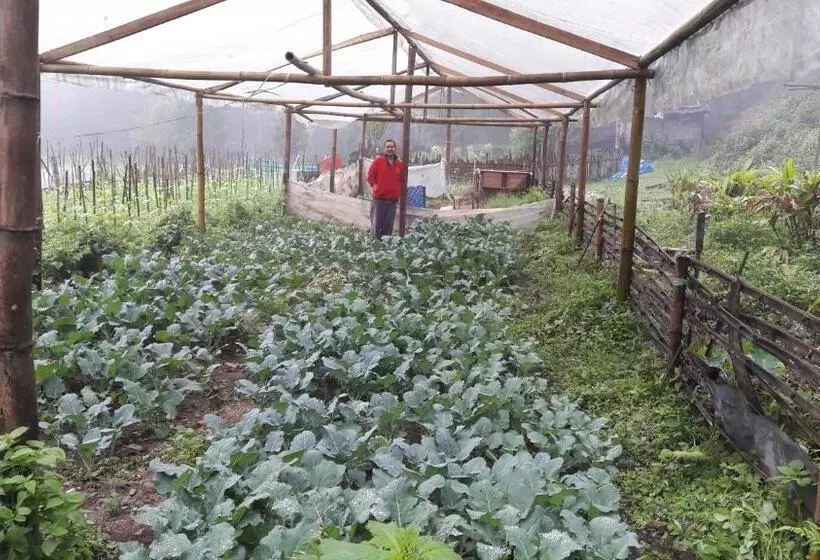 ホテル Yangsum Heritage Farm