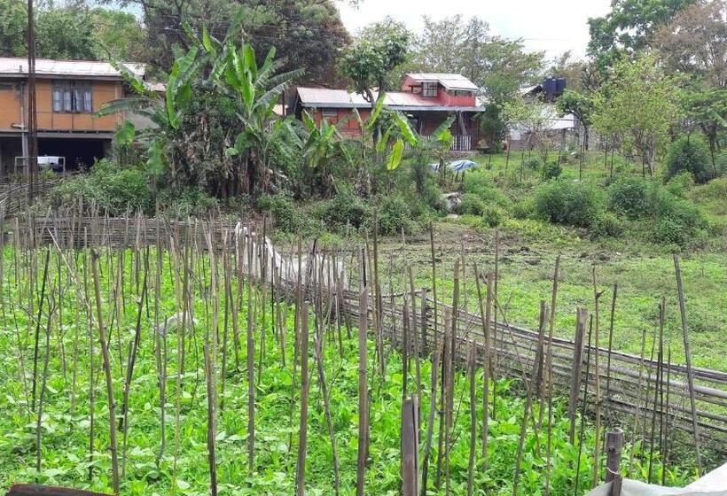 בית מלון כפרי Yangsum Heritage Farm