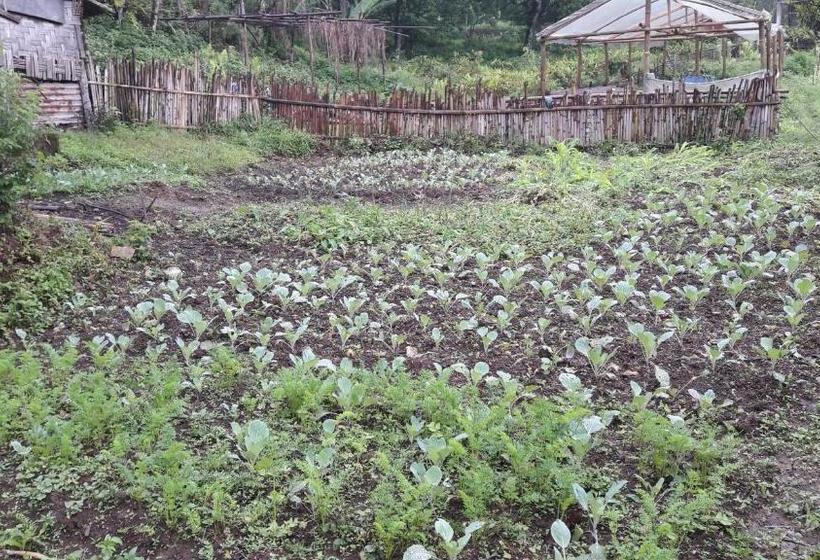 בית מלון כפרי Yangsum Heritage Farm
