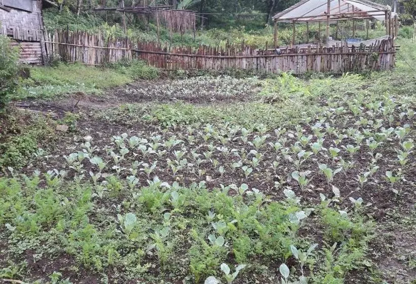 ホテル Yangsum Heritage Farm