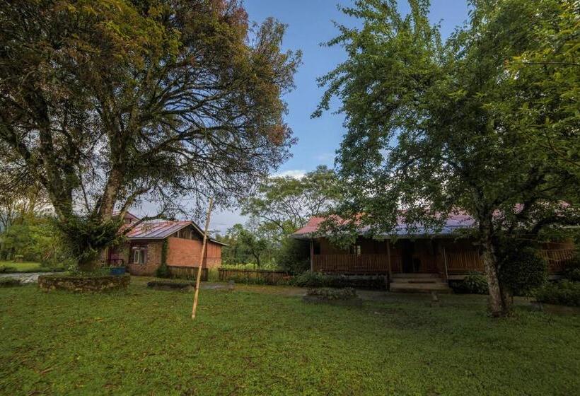 בית מלון כפרי Yangsum Heritage Farm