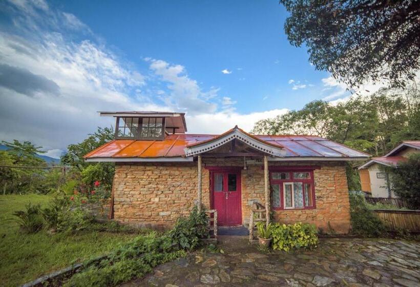 בית מלון כפרי Yangsum Heritage Farm