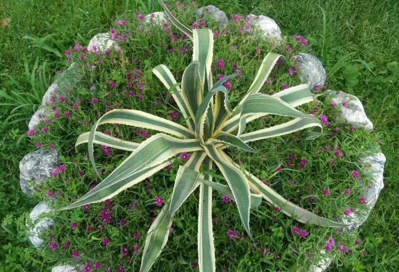 پانسیون Tsinandali Edem   Tsinandlis Edemi   цинандали эдем