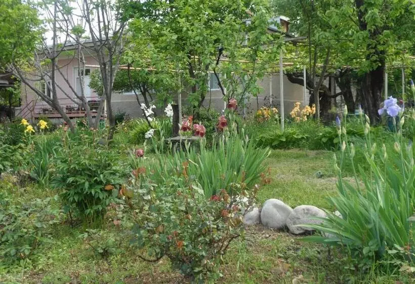 پانسیون Tsinandali Edem   Tsinandlis Edemi   цинандали эдем